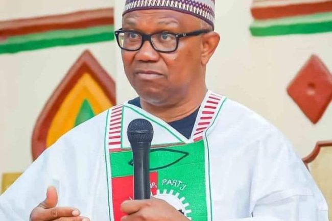 2023 ELECTIONS: PETER OBI WINS ONE LG IN NIGER STATE 