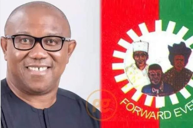INEC DECLARES PETER OBI WINNER OF SULEJA LGA IN NIGER STATE 
