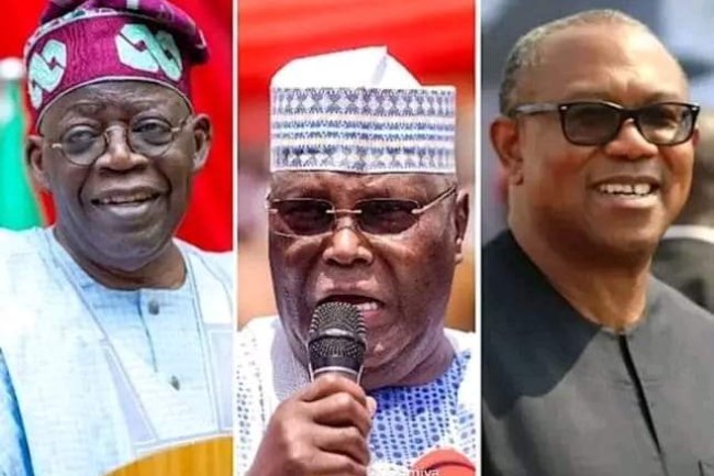 APC LOSES IN ALL LGAS DECLARED SO FAR IN KADUNA 