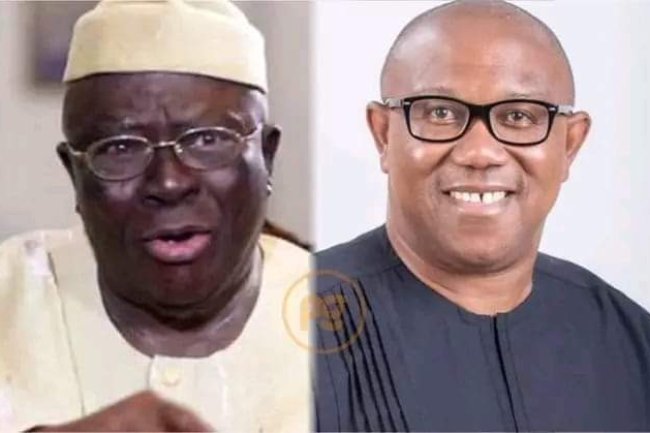 NIGERIANS HAVE SHOWN THAT THEY WANT PETER OBI TO BE THEIR PRESIDENT BY VOTING FOR HIM - AYO ADEBANJO