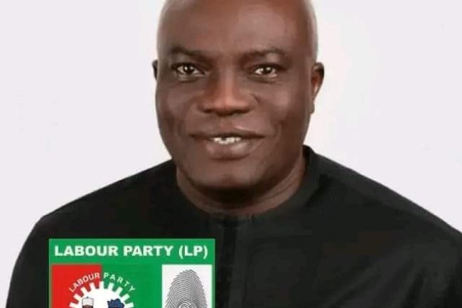 INEC DECLARES LP'S NEDA IMASUEN WINNER OF EDO SOUTH SENATORIAL SEAT