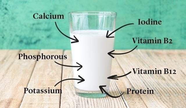 NUTRITIONAL VALUES OF MILK