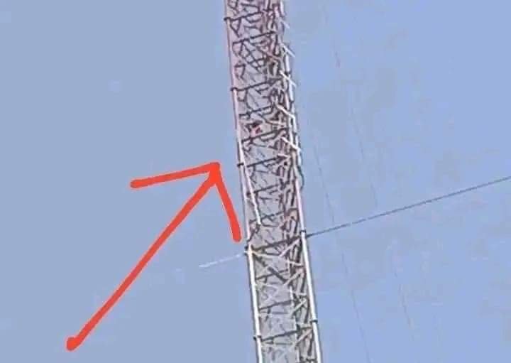 KANO STATE FIRE SERVICE ON WEDNESDAY RESCUED A 27-YEAR-OLD MAN THAT CLIMBED ONE VERY LONG ANTENNA BECAUSE OF N500,000 ‘MISS’ FROM HIS ACCOUNT