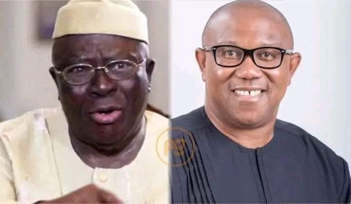 NIGERIANS HAVE SHOWN THAT THEY WANT PETER OBI TO BE THEIR PRESIDENT BY VOTING FOR HIM - AYO ADEBANJO