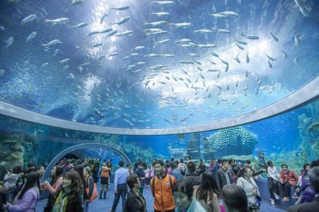 AMAZING INFRASTRUCTURE: THE LARGEST AQUARIUM IN THE WORLD 