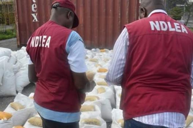 NDLEA SEIZES 13,125KG ILLICIT DRUGS, ARRESTS 793 SUSPECTS IN ABUJA
