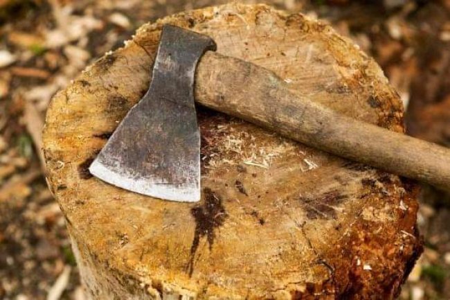 AXE-WIELDING MAN HACKS 100-YEAR-OLD GRANDMOTHER TO DEATH 