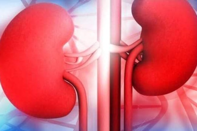 KIDNEY DISEASE: 5 COMMON SYMPTOMS TO LOOK OUT FOR 