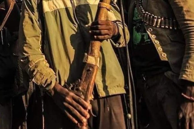 JUST IN: GUNMEN KILL 15 IN FRESH KADUNA VILLAGE ATTACK