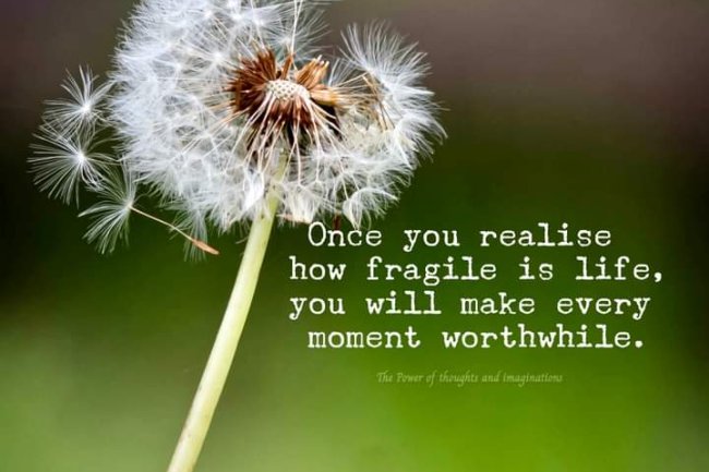 ARE YOU TAKING LIFE FOR GRANTED?