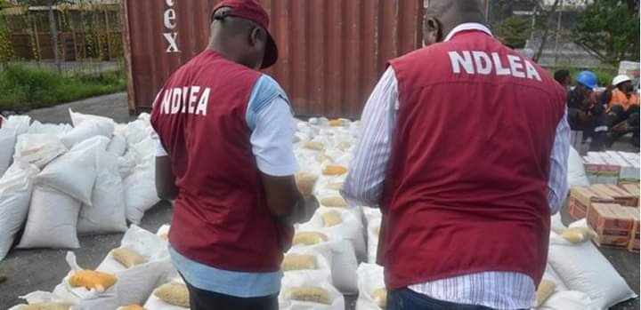 NDLEA SEIZES 13,125KG ILLICIT DRUGS, ARRESTS 793 SUSPECTS IN ABUJA