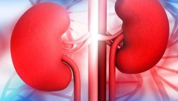 KIDNEY DISEASE: 5 COMMON SYMPTOMS TO LOOK OUT FOR 