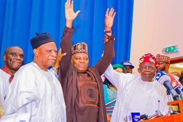 APC SHOULD REPLACE NATIONAL CHAIRMAN, ADAMU WITH CHRISTIAN OVER TINUBU’S MUSLIM-MUSLIM PRESIDENCY – NWC MEMBER