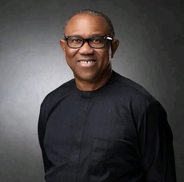 I’VE NO ISSUE WITH TINUBU, ONLY CHALLENGING INEC PROCESS — PETER OBI