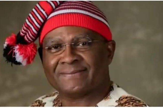 PETER OBI FED OUR PEOPLE WITH THE SACRED APPLE, NIGERIA MAY NOT BE THE SAME AGAIN – NNAMANI LAMENTS   