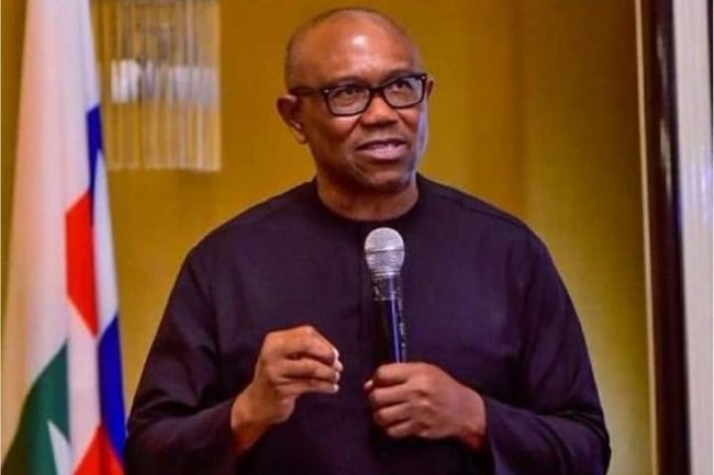 THE BADLY DOCTORED AUDIO WAS RELEASED BY OUR 'NNEWI PRODIGAL BROTHER' - PETER OBI'S AIDE