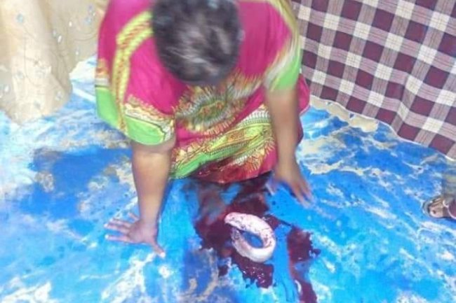 TWO-YEAR PREGNANT WOMAN GIVES BIRTH TO MIRACLE CATFISH IN BAYELSA CHURCH