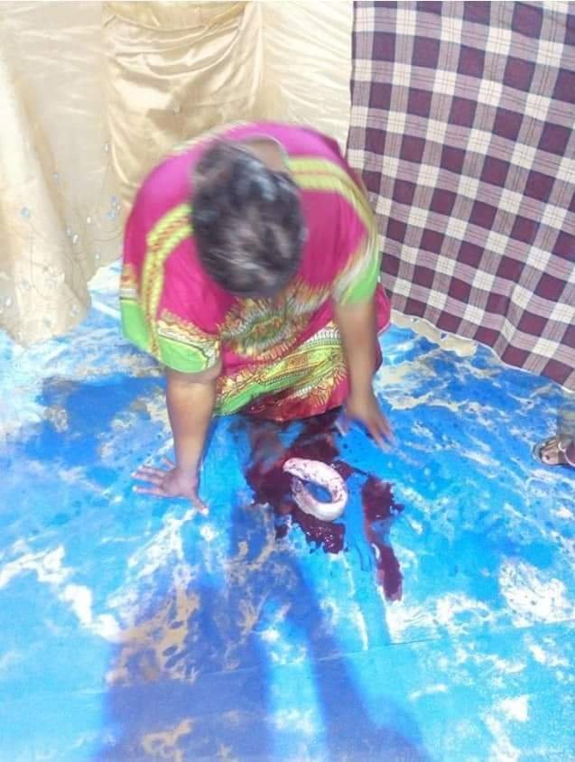 TWO-YEAR PREGNANT WOMAN GIVES BIRTH TO MIRACLE CATFISH IN BAYELSA CHURCH