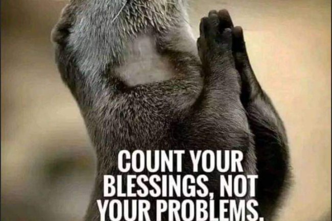 7 LESSONS ON MINDSET THAT EVERYONE SHOULD KNOW 