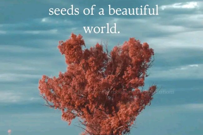 CAN WE CHANGE THE WORLD WITH LOVE?