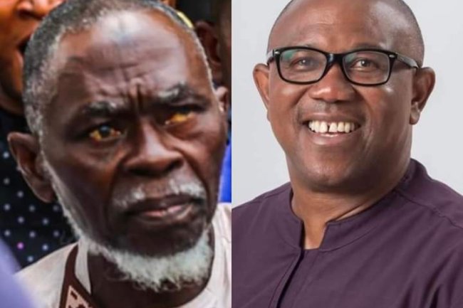 "I WILL EXPOSE PETER OBI TO THE WORLD" – LAMIDI APAPA VOWS