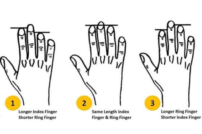 CHECK OUT WHAT YOUR FINGER LENGTH SAYS ABOUT YOUR PERSONALITY 