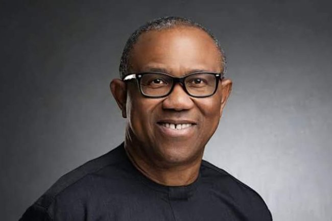 MAY 29: ITS TIME TO RE-EXAMINE OUR ASSUMPTIONS, SAYS PETER OBI
