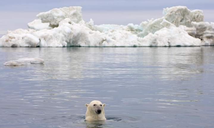 ARCTIC OCEAN: 10 FACTS ABOUT THE WORLD'S SMALLEST OCEAN 