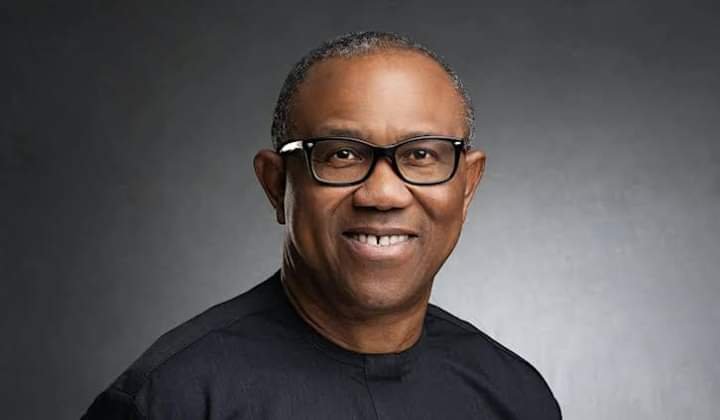 MAY 29: ITS TIME TO RE-EXAMINE OUR ASSUMPTIONS, SAYS PETER OBI