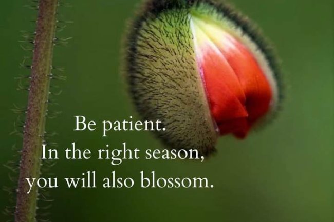 HOW DO YOU MANAGE TO HAVE PATIENCE IN LIFE?