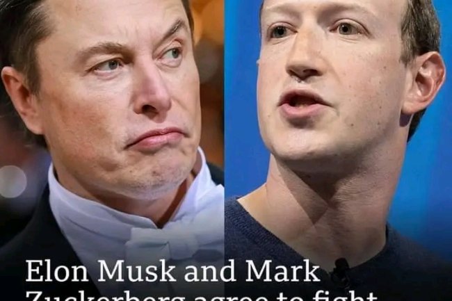 ELON MUSK CHALLENGES MARK ZUCKERBERG TO A 'CAGE FIGHT'