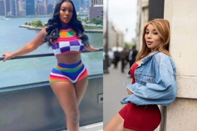 “YOU’RE GOING TOO FAR, NOBODY DESERVES THIS” — DAVIDO'S ALLEGED 6TH BABY MAMA CAUTIONS ANITA BROWN