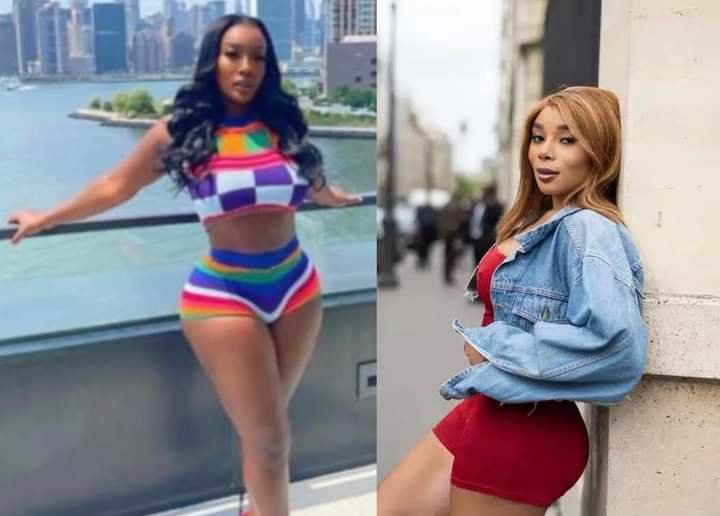 “YOU’RE GOING TOO FAR, NOBODY DESERVES THIS” — DAVIDO'S ALLEGED 6TH BABY MAMA CAUTIONS ANITA BROWN