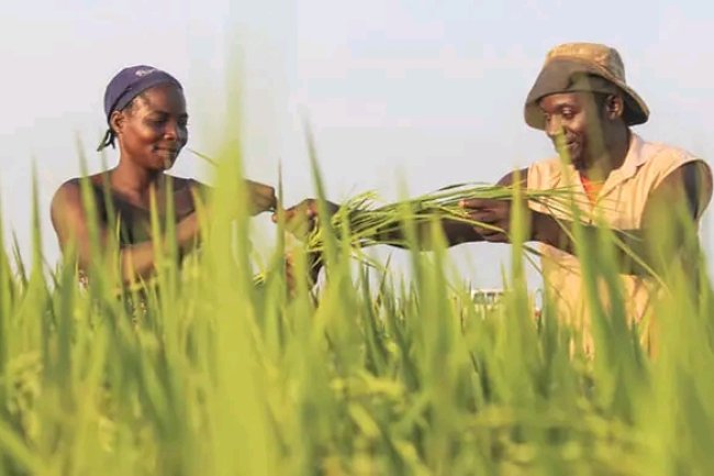 ISRAEL IS DEMANDING FOR MORE AFRICAN WORKERS 