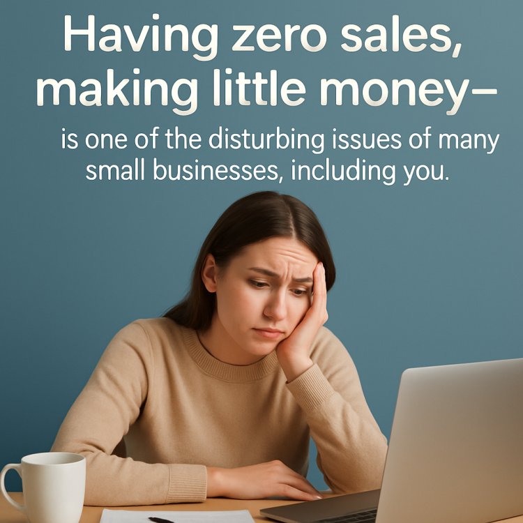 Having zero sales, making little money — is one of the disturbing issues of many small businesses, including you.