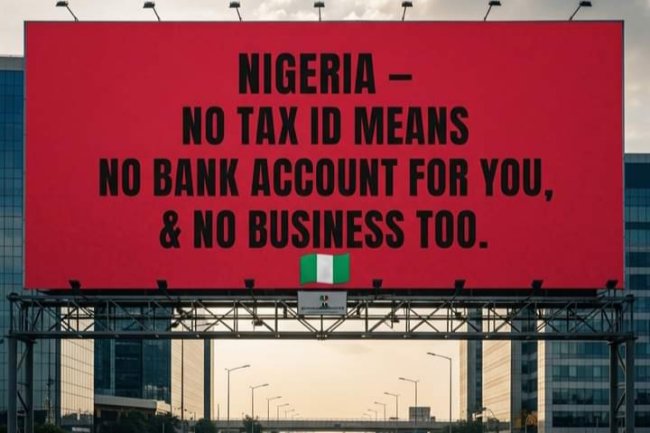 New Law: Nigerians Must Obtain Tax ID to Operate Bank Accounts, Businesses by 2026
