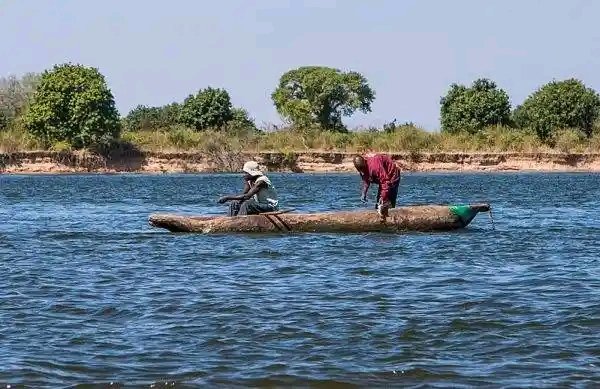 HERE'S THE ACADEMY THAT HELP YOU LEARN, CREATE AND EARN FOR FREE...