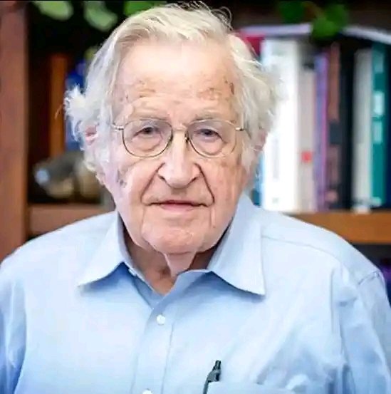 Professor Noam Chomsky Powerful Reflections He Left Behind