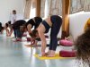 Ashtanga Yoga Classes in Rishikesh | Yoga Teacher Training, Retreats & Ayurveda Guide