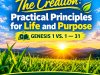 The Creation: Practical Principles for Life and Purpose [Genesis 1 vs. 1–31]